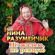 Обложка к песне Не Жалею, Не Ревную от Нина Разумейчик