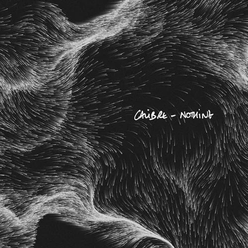 Обложка к песне Nothing от Calibre