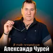 Обложка к песне Я Тебе Понравился от Александр Чурей
