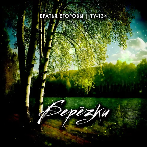 Обложка к песне Берёзки (feat. Ту-134) от Братья Егоровы