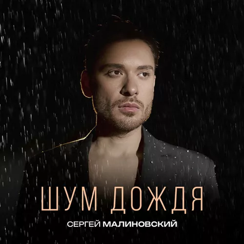 Обложка к песне Шум Дождя от Сергей Малиновский