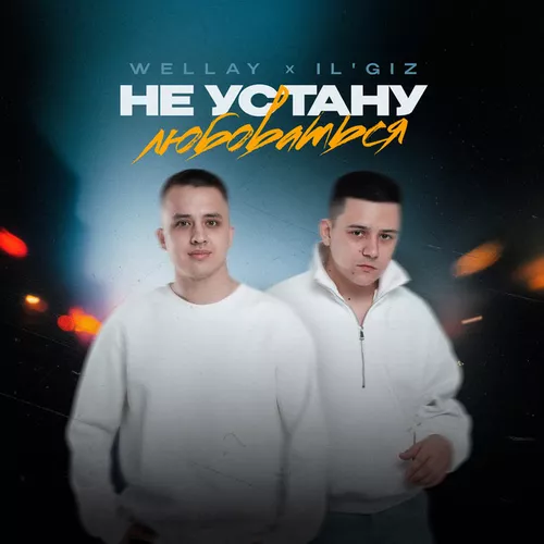 Обложка к песне Не Устану Любоваться (feat. Il'giz) от Wellay
