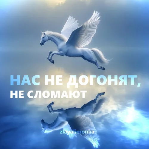 Обложка к песне Нас Не Догонят, Не Сломают от Zlayalimonka