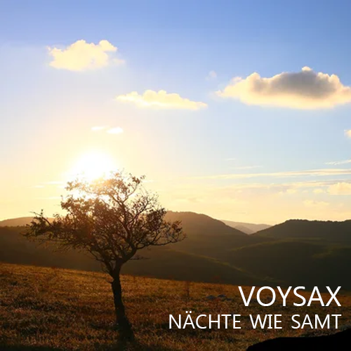 Обложка к песне Nächte Wie Samt (Radio Edit) от Voysax