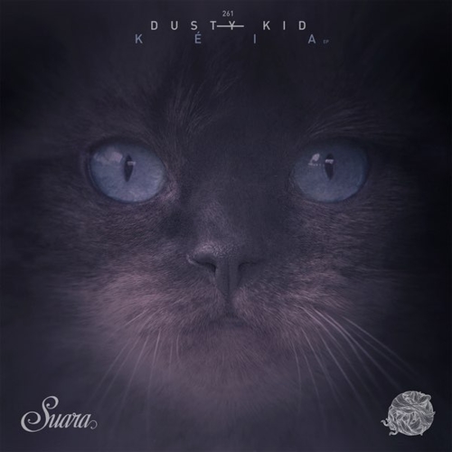 Обложка к песне Feelers (Original Mix) от Dusty Kid
