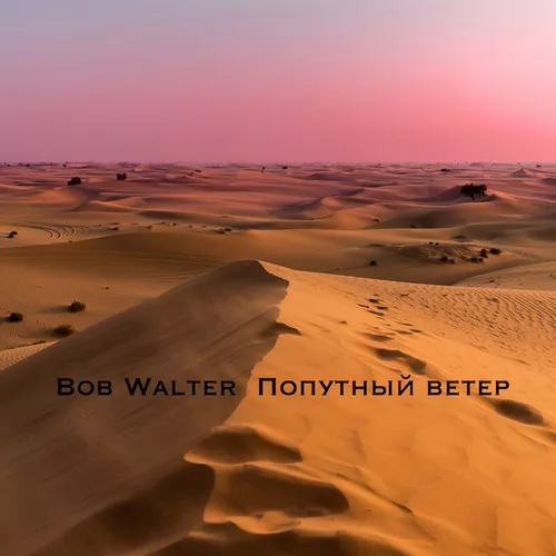 Обложка к песне Попутный Ветер от Bob Walter
