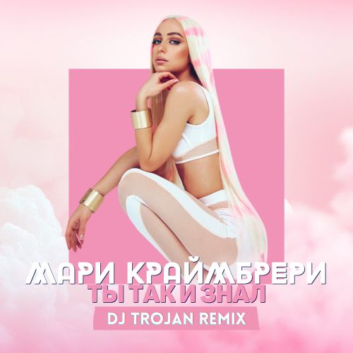 Обложка к песне Ты Так И Знал (DJ Trojan Remix) от Мари Краймбрери