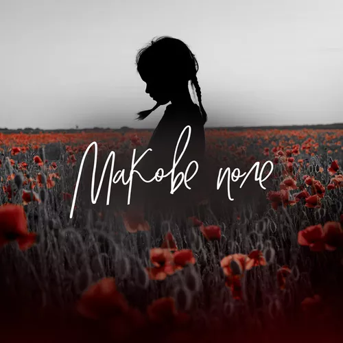 Обложка к песне Макове Поле (feat. Daryna Samurai) от Pivovarov Prod