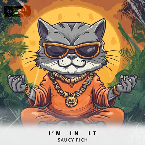 Обложка к песне I'm In It (Extended Mix) от Saucy Rich