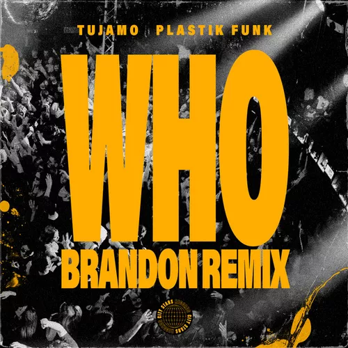 Обложка к песне Who (Brandon Remix) от Plastik Funk & Tujamo