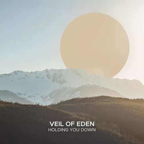 Обложка к песне Holding You Down (Extended Mix) от Veil Of Eden