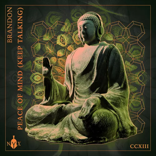 Обложка к песне Peace Of Mind (Keep Talking) от Brandon
