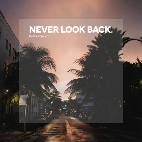 Обложка к песне Never Look Back (Edit) от Boris Brejcha