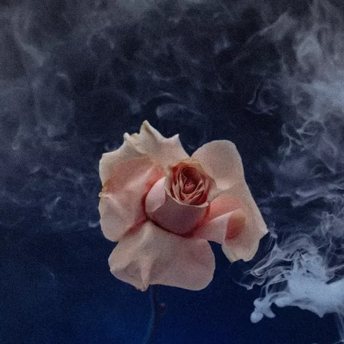 Обложка к песне Сигарети от Valeriia Vovk