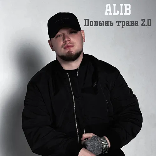 Обложка к песне Полынь Трава 2.0 (Remix) от Alib