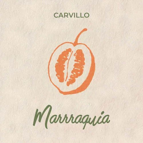Обложка к песне Marrraquia от Carvillo