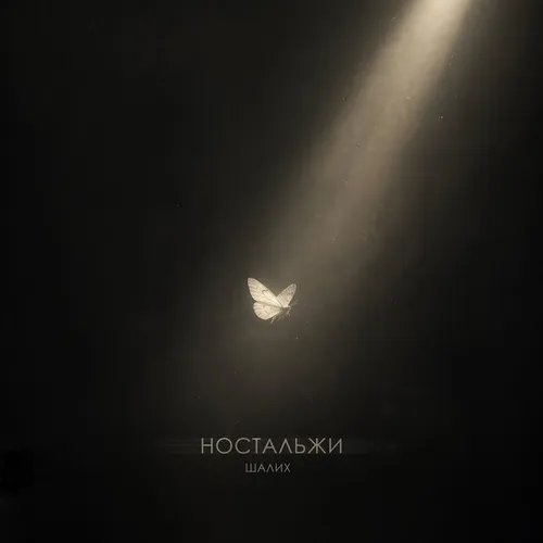 Обложка к песне Ностальжи от Шалих