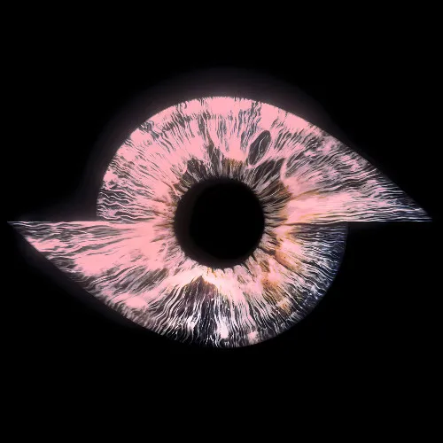 Обложка к песне Recall (Lorenz Bauling Remix) от Gabriawll