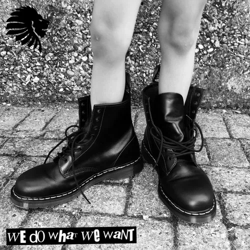 Обложка к песне We Do What We Want от Alan Fitzpatrick