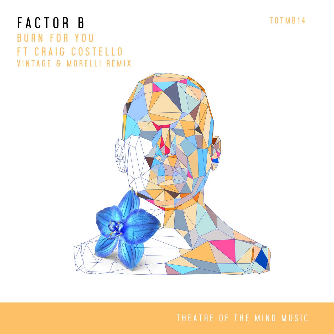 Обложка к песне Burn For You (Vintage & Morelli Remix) от Factor B & Craig Costello