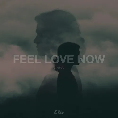 Обложка к песне Feel Love Now от Atwyod