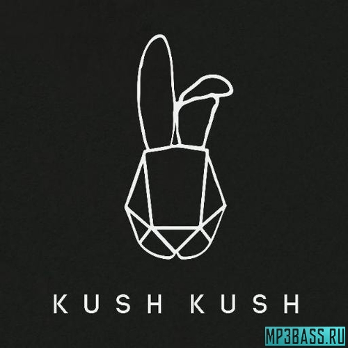 Обложка к песне Fight Back от Kush Kush