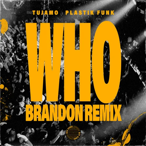 Обложка к песне Who (Brandon Remix) от Plastik Funk & Tujamo