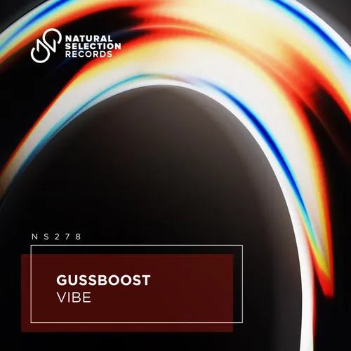 Обложка к песне Vibe от GussBoost