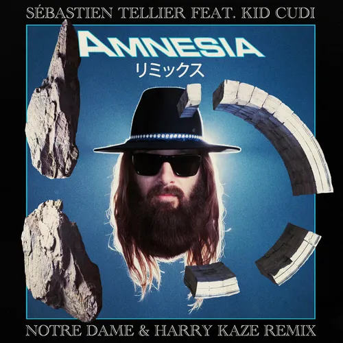 Обложка к песне Amnesia (Notre Dame & Harry Kaze Remix) от Sebastien Tellier