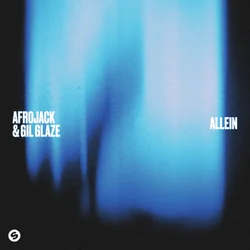 Обложка к песне Allein (Extended Mix) от Afrojack & Gil Glaze
