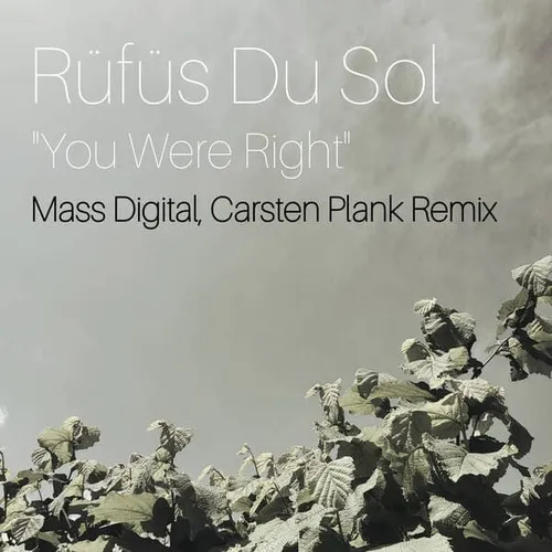 Обложка к песне You Were Right (Mass Digital & Carsten Plank Remix) от Rüfüs Du Sol