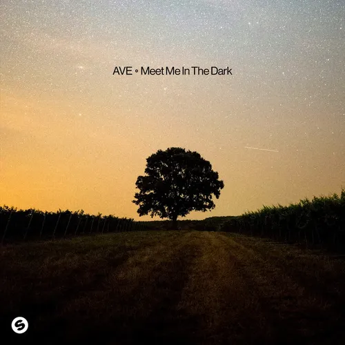 Обложка к песне Meet Me In The Dark от AVE