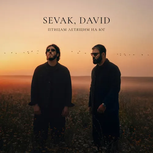 Обложка к песне Птицам Летящим На Юг (feat. David) от Sevák