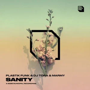 Обложка к песне Sanity (Extended Mix) от Plastik Funk & DJ Tora feat. Marmy