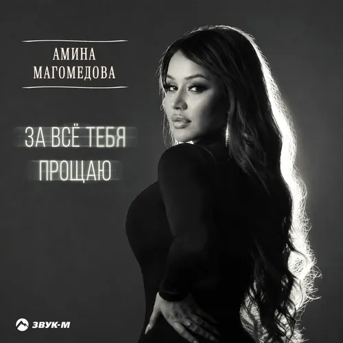 Обложка к песне За Всё Тебя Прощаю от Амина Магомедова