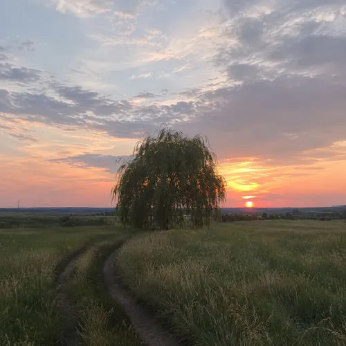 Обложка к песне Лишь Раз от Instasamka