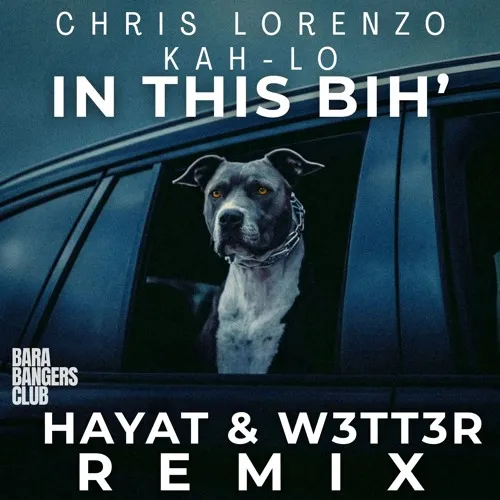 Обложка к песне In This Bih' (W3tt3r & Hayat Remix) от Chris Lorenzo