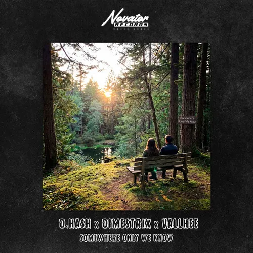 Обложка к песне Somewhere Only We Know (feat. Dimestrix & Vallhee) от D.Hash