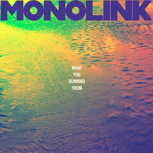 Обложка к песне What You Running From от Monolink
