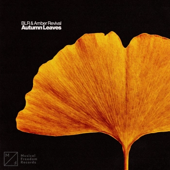 Обложка к песне Autumn Leaves (Extended Mix) от BLR & Amber Revival