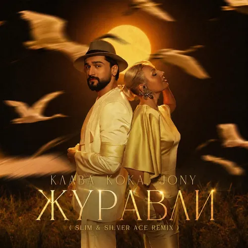 Обложка к песне Журавли (Slim & Silver Ace Remix) от Клава Кока & Jony