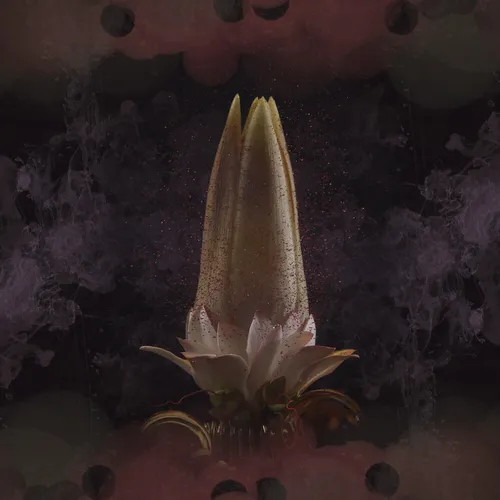 Обложка к песне Hummingbird (feat. Amtrac) от Panama