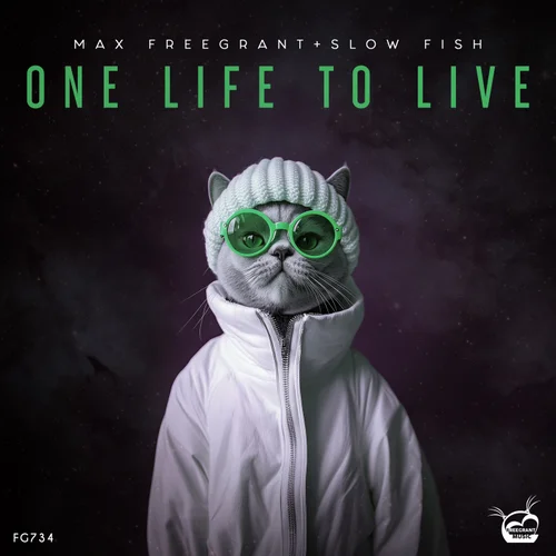 Обложка к песне One Life To Live (Extended Mix) от Max Freegrant & Slow Fish