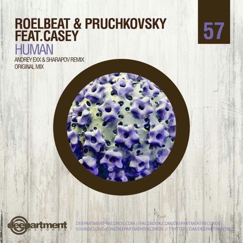 Обложка к песне Human (Original Mix) от RoelBeat & Pruchkovsky feat. Casey