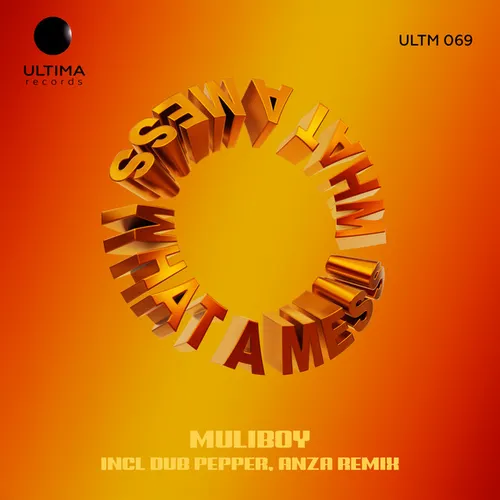 Обложка к песне What A Mess (Dub Pepper & Anza Remix) от Muliboy