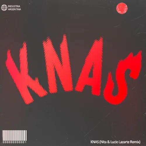 Обложка к песне Knas (Nita & Lucio Lazarte Remix) от Steve Angello