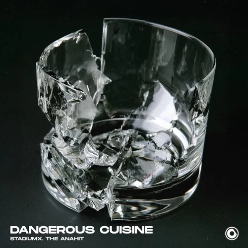 Обложка к песне Dangerous Cuisine (Extended Mix) от Stadiumx & The Anahit
