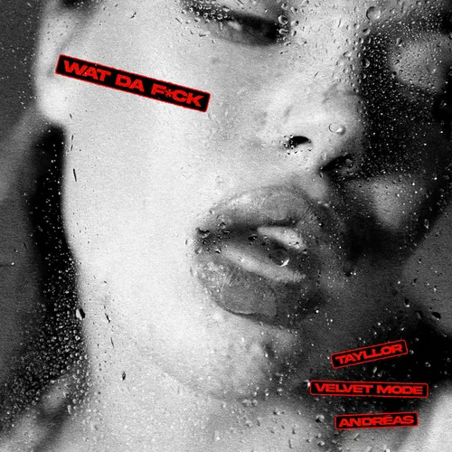 Обложка к песне Wat Da Fuck (Original Mix) от Tayllor & Velvet Mode feat. Andréas