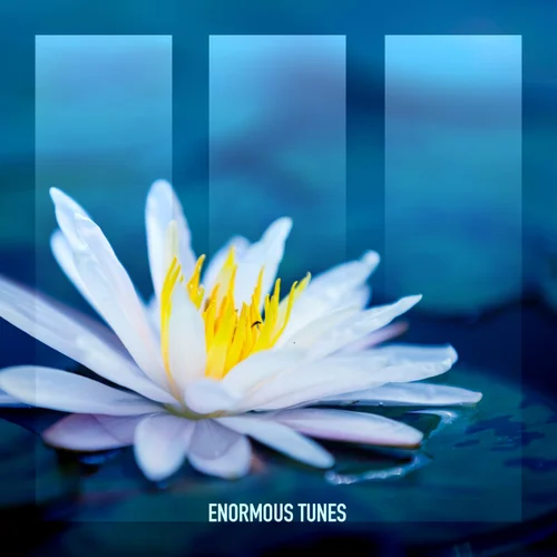 Обложка к песне White Lotus (Extended Mix) от Daniel Portman
