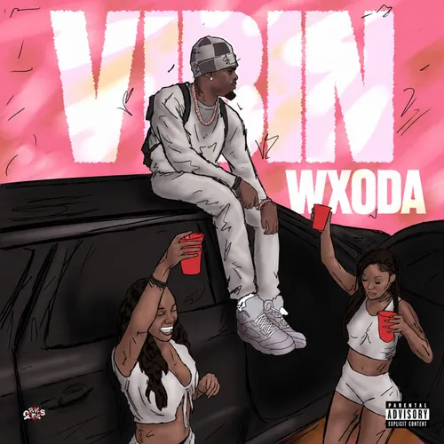Обложка к песне Vibin от Wxoda